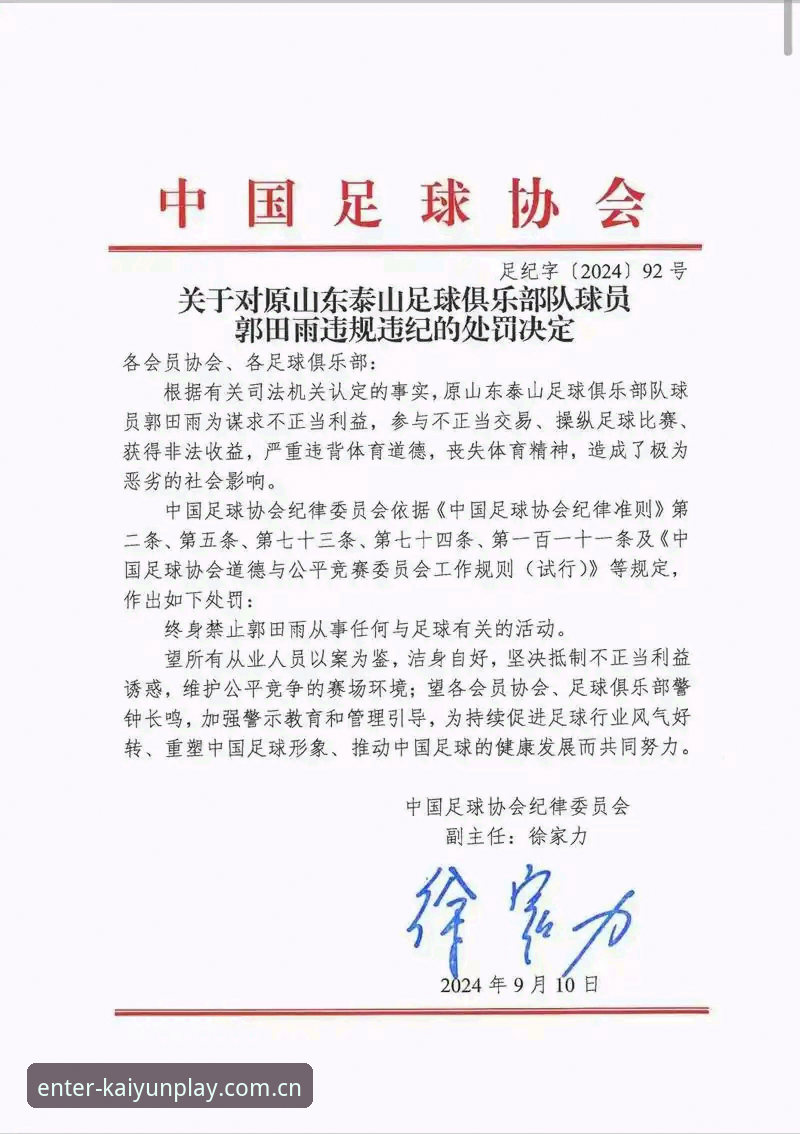 足协第三批禁足名单深度解读：从开yun体育平台视角看中国足球反腐行动完整指南